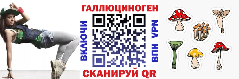 Купить где  Зубцов  Псилоцибиновые грибы Magic Shrooms 